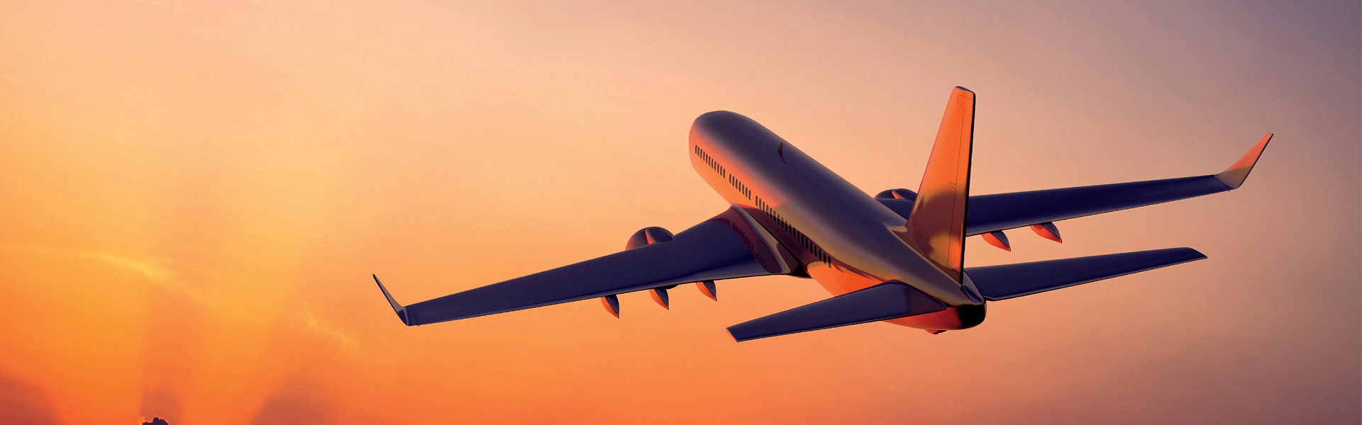Terminal Customs Consulting