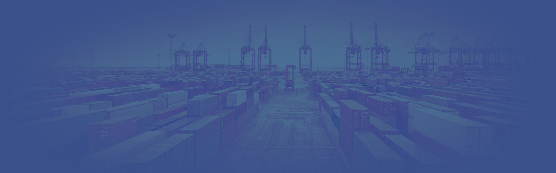 Terminal Customs Consulting